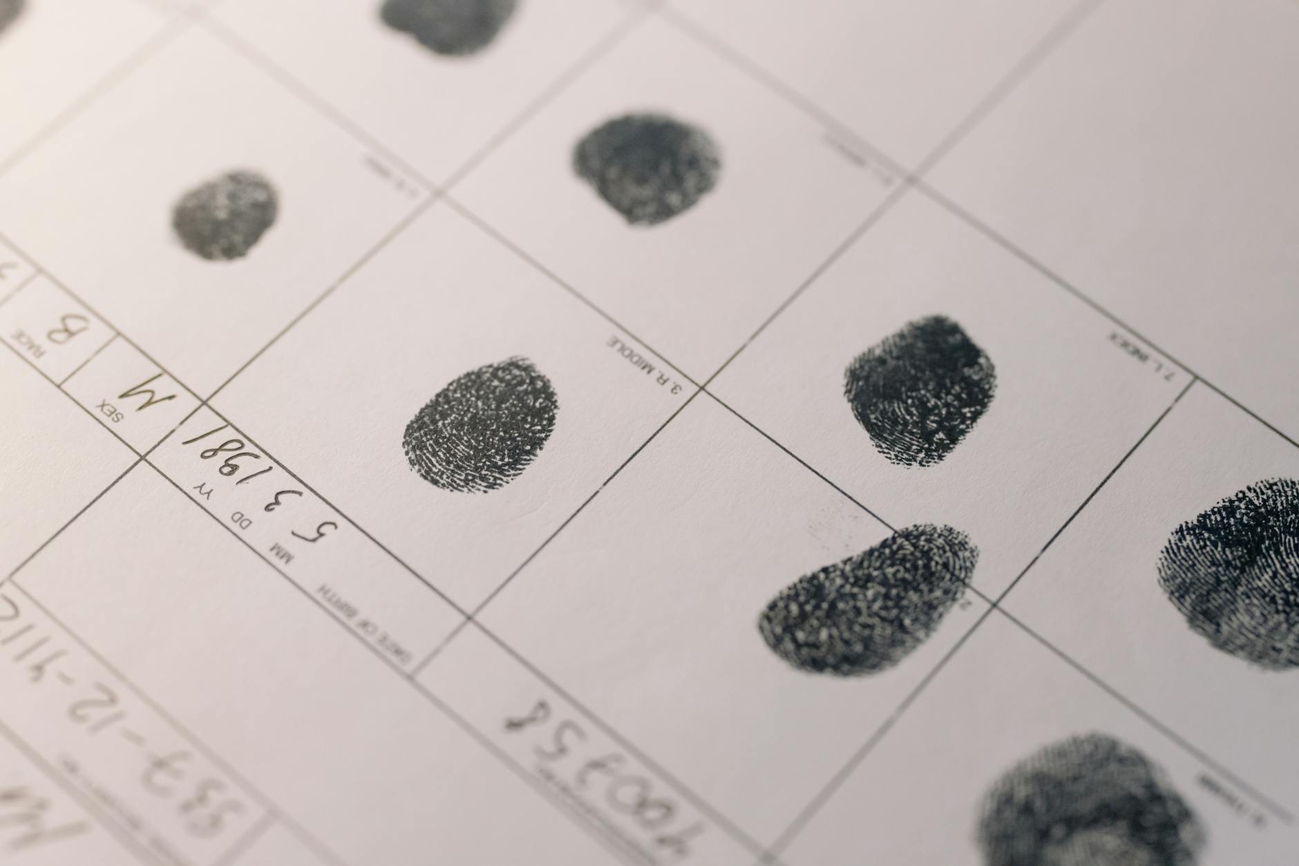 close up photo of fingerpints on paper